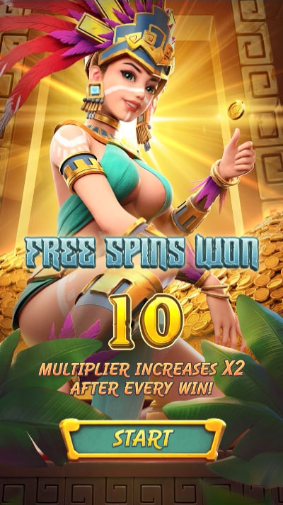 tigerbet